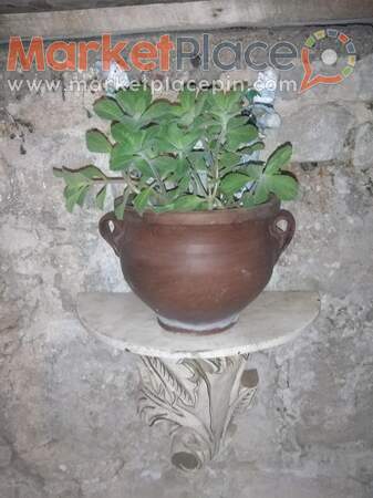 Παχυφυτα - herbs-κατασκευες - Paphos, Paphos