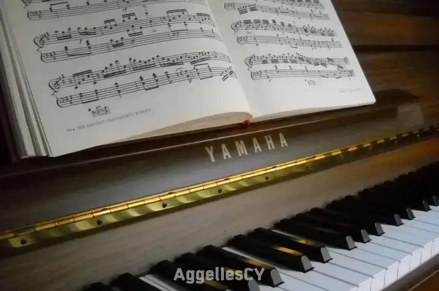 Piano Lessons online by expert, English, Deutsch