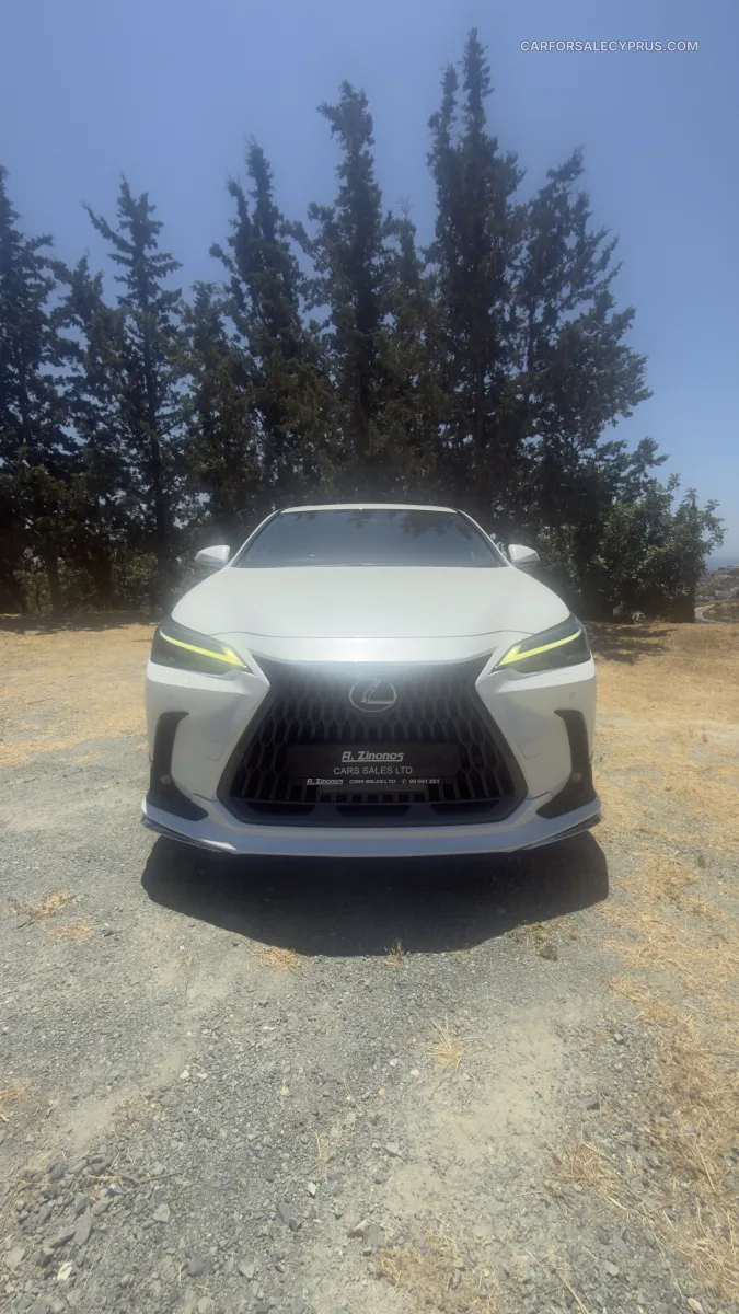 Lexus NX Modelista package 2022